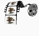 filmreel_treeswinging_lc.gif