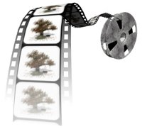 filmreel_treeswinging_hr.jpg
