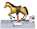 horse1_sc.gif