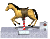 horse1_mc.gif