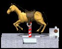 horse1_lc.gif