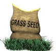 seed_bag_in_grass_mw.gif