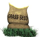 seed_bag_in_grass_lw.gif