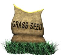 seed_bag_in_grass_hr.jpg