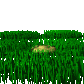 pop_up_sprinkler_sc.gif