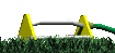 grass_sprinkler_wave_sc.gif
