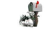 bunny_mail_mw.gif