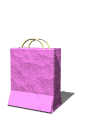 shopping_bag_lw.gif