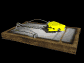 mousetrap_ready_sb.gif