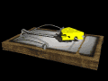 mousetrap_ready_mb.gif