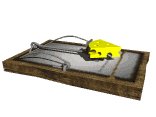 mousetrap_ready_lw.gif