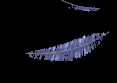 feathers_falling_lb.gif