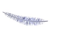 feather_floating_in_air_hr.jpg