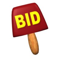 bid_now_paddle_hr.jpg