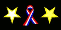 usa_ribbon_stars_rota_a_lc.gif
