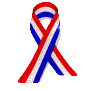 usa_ribbon_shining_sw.gif