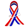 usa_ribbon_pinned_on_sw.gif