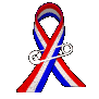 usa_ribbon_pinned_on_sc.gif