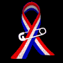 usa_ribbon_pinned_on_sb.gif