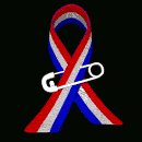 usa_ribbon_pinned_on_mc.gif