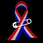 usa_ribbon_pinned_on_lb.gif