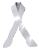 ribbon_white_sw.gif