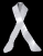 ribbon_white_sb.gif