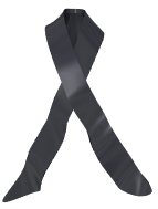 ribbon_black_hr.jpg