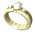 ladiesring_diamond_ro_a_sw.gif