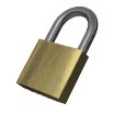 padlock_spinning_lw.gif