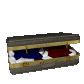suitcase_openclose_sc.gif