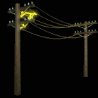 powerlines_flash1_mb.gif