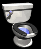 flush_lb.gif