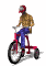 tricycle_sw.gif