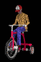 tricycle_mb.gif