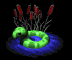 floaty_sb.gif