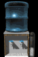 watercooler_bubbling1_sb.gif