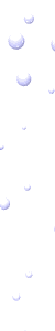 bubbles_vert_divider_mw.gif
