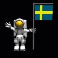 flag_sweden_mc.gif