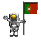 flag_portugal_sc.gif