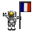 flag_france_ty_clr.gif
