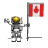 flag_canada_ty_wht.gif