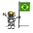 flag_brazil_ty_wht.gif