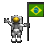 flag_brazil_ty_clr.gif