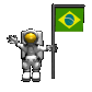 flag_brazil_sc.gif