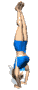 woman_handstand_sw.gif