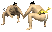 sumo_wrestler_japan_s_a_tc.gif