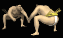 sumo_wrestler_japan_s_a_mb.gif