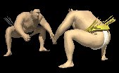 sumo_wrestler_japan_s_a_lc.gif