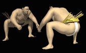 sumo_wrestler_japan_s_a_lb.gif